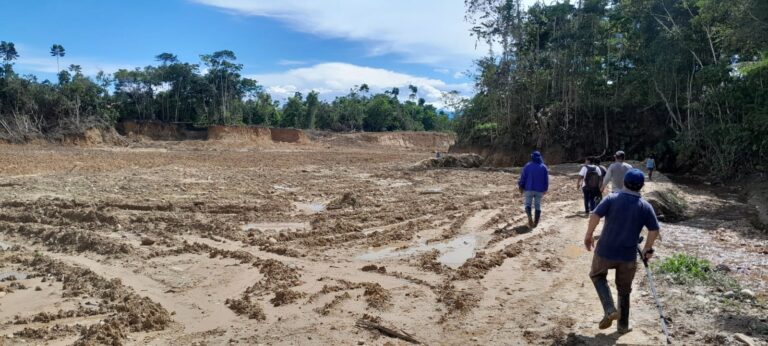 Alerta en Huánuco: 39% del territorio regional está degradado, con bosques aluviales e inundables con más del 80% afectados