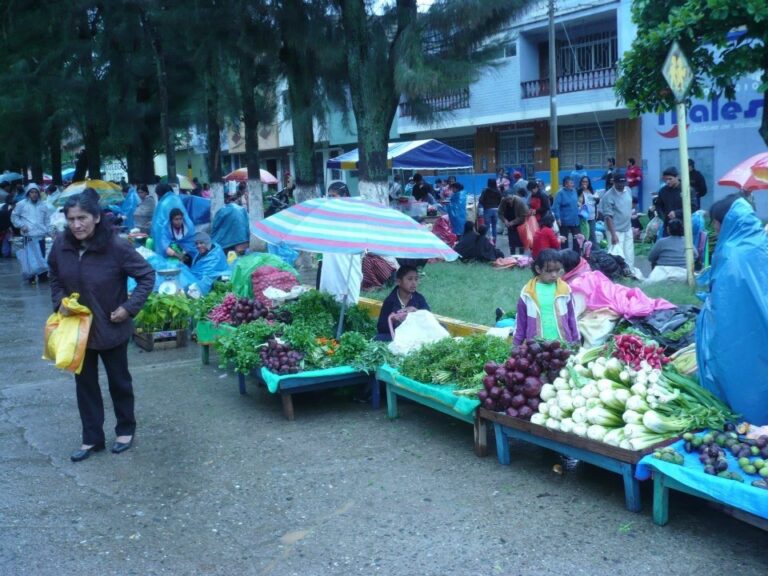 Feria Sabatina de Huánuco será reubicada a avenida Alfonso Ugarte durante ejecución de obra en Alameda