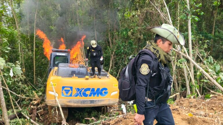 Operativo de interdicción en Puerto Inca detecta 30 hectáreas deforestadas y campamentos de minería ilegal con internet satelital