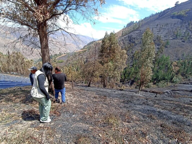 Incendio destruye cultivos de fresa y causa muerte de animales en Huandobamba