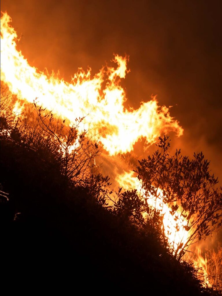 Huánuco acumula más de 30 incendios forestales entre agosto y octubre, y el fuego en el cerro del COAR no pudo controlarse